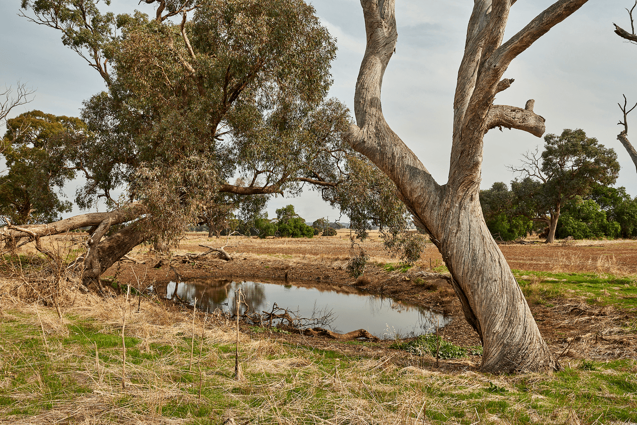 . Corner Myola Road and Rochester Road, CORNELLA, VIC 3551