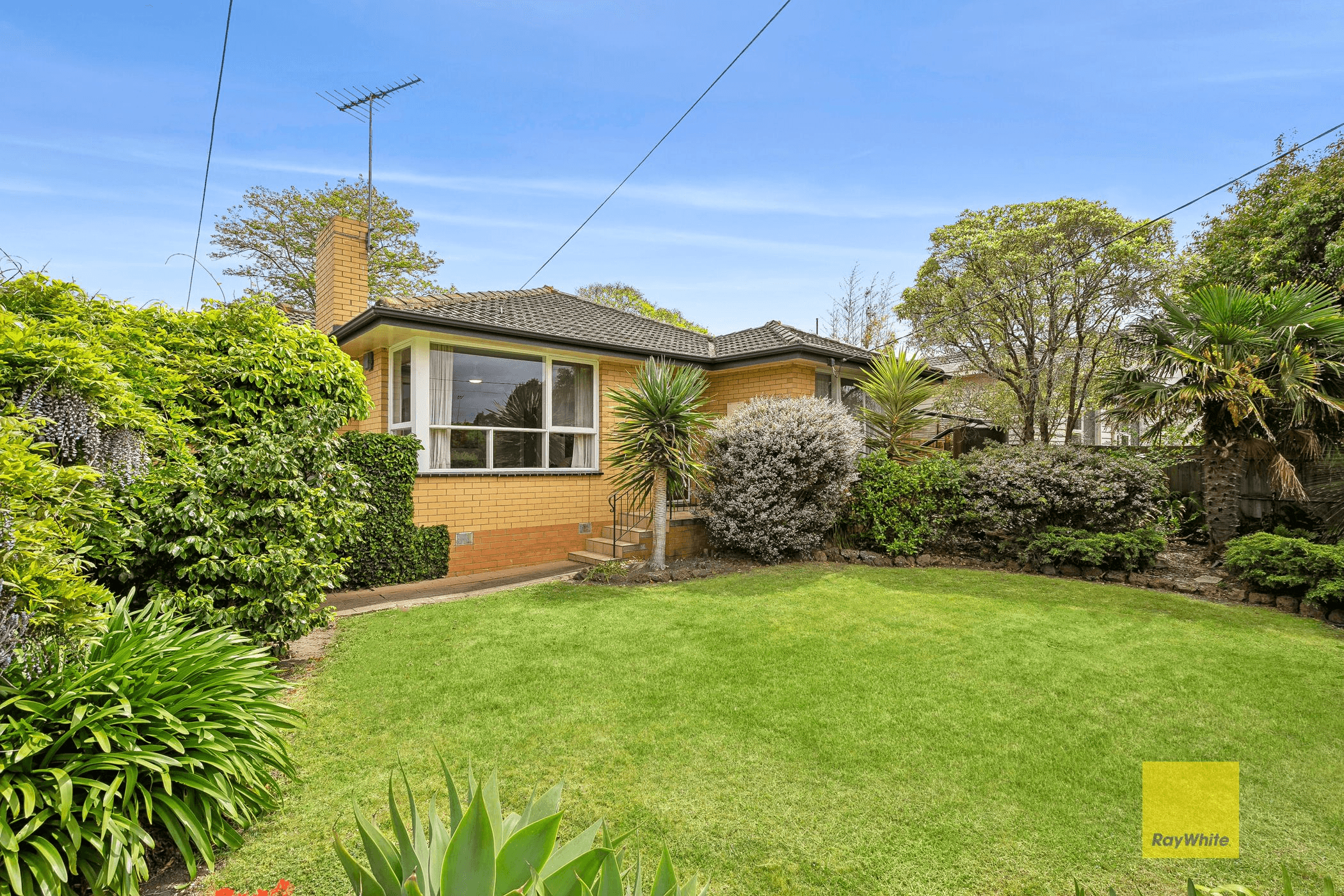 2 Glyn Street, BELMONT, VIC 3216