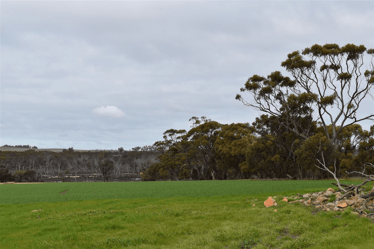 ' Adadale', Woodanilling, WA 6316