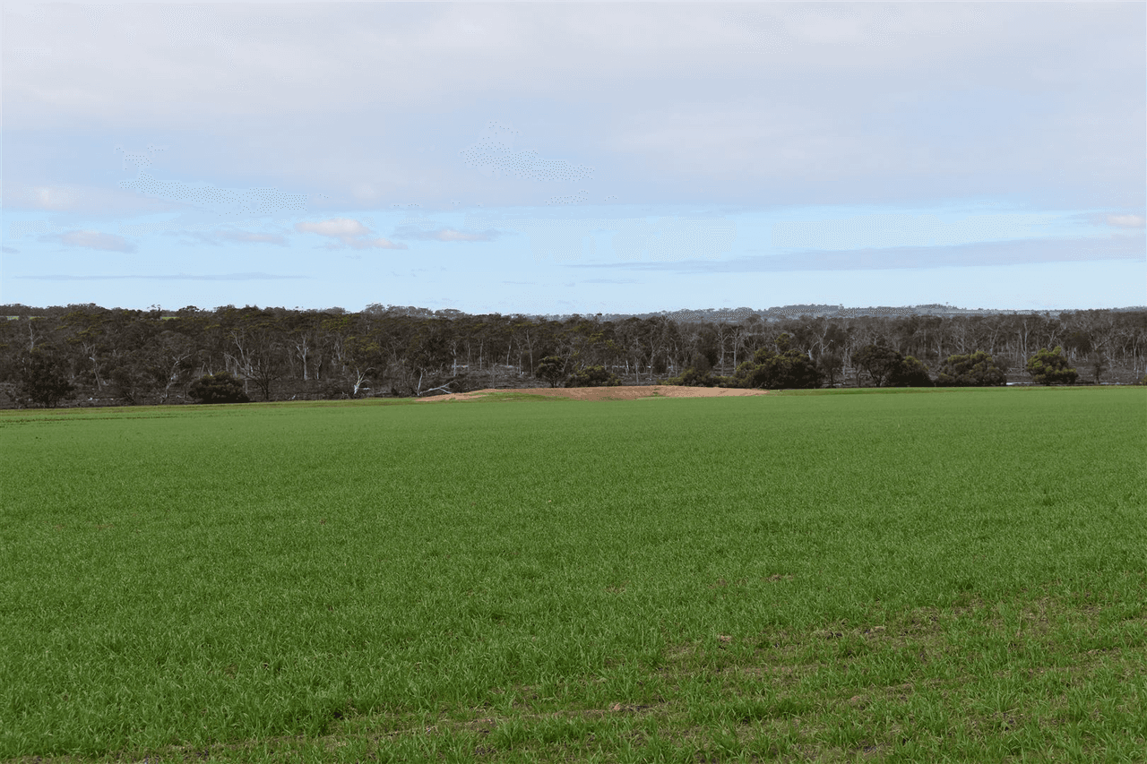 ' Adadale', Woodanilling, WA 6316