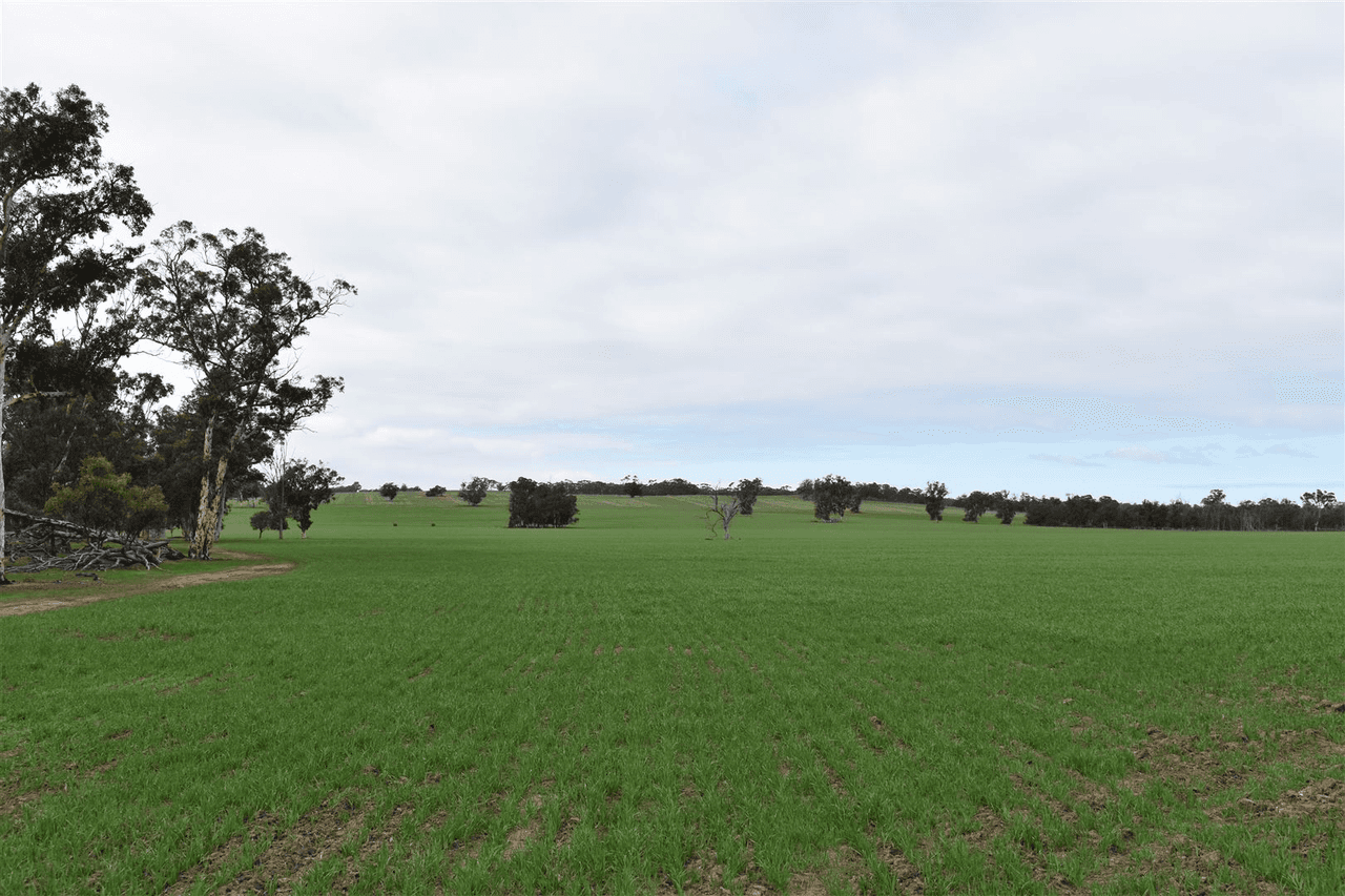 ' Adadale', Woodanilling, WA 6316