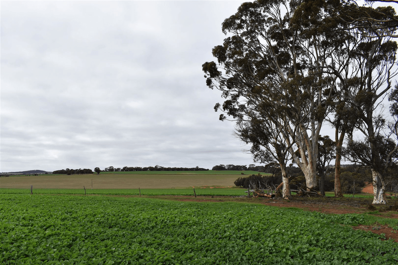 ' Adadale', Woodanilling, WA 6316