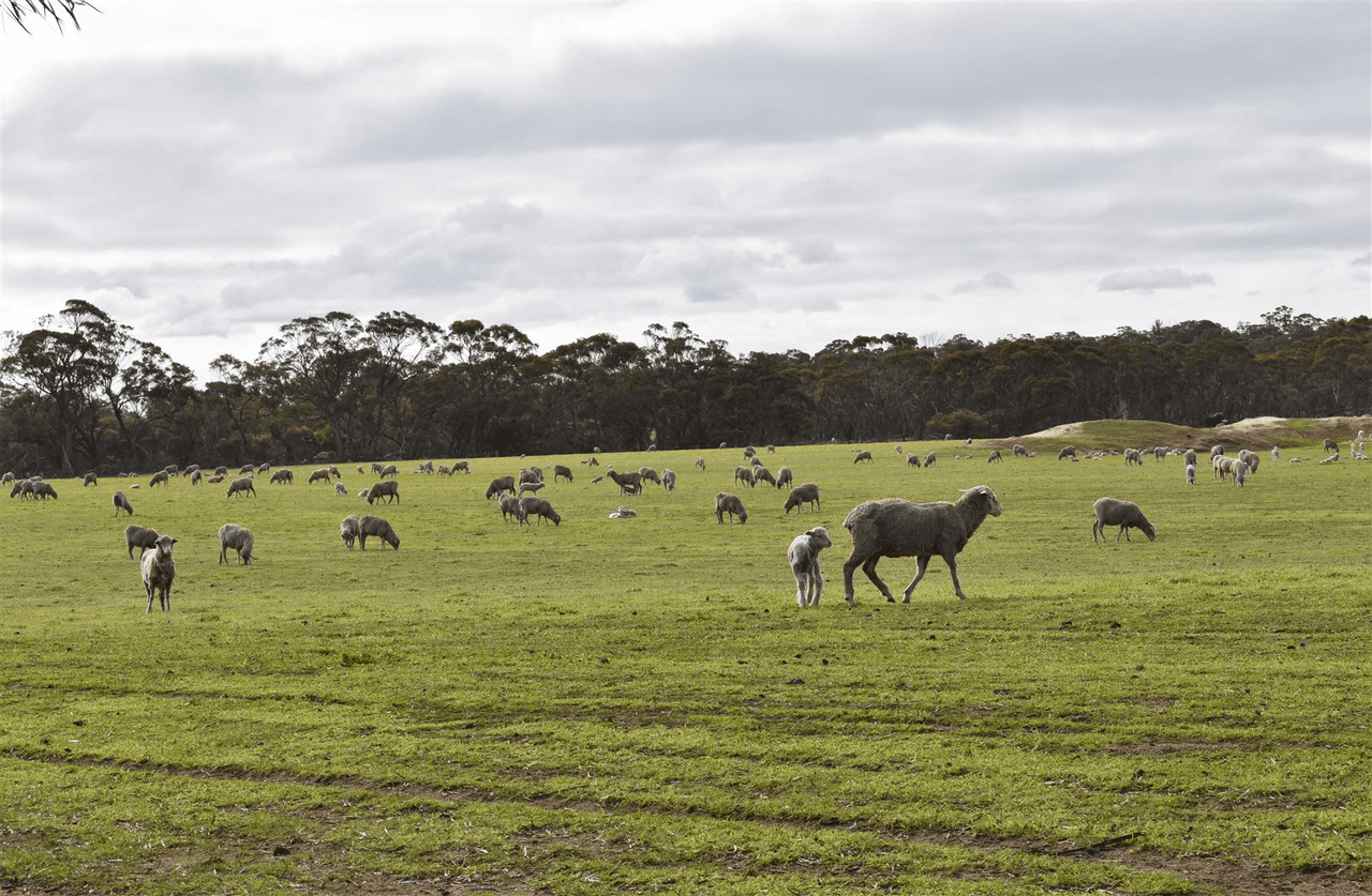 ' Adadale', Woodanilling, WA 6316