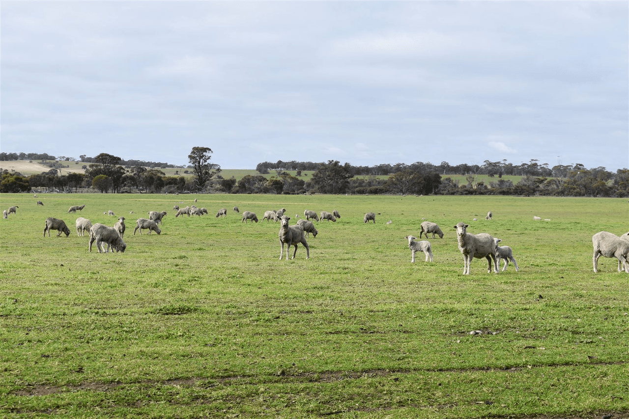 ' Adadale', Woodanilling, WA 6316