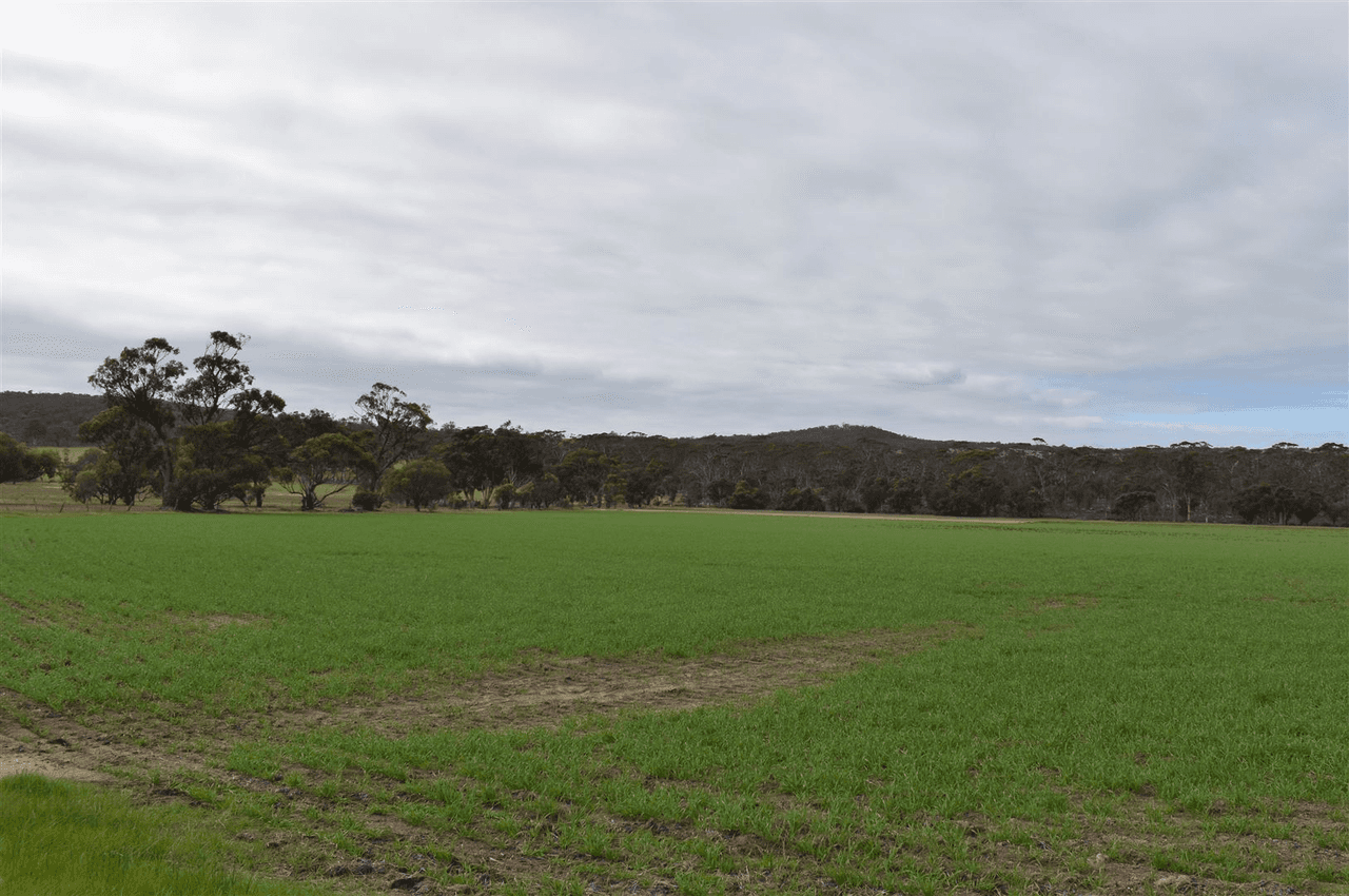 ' Adadale', Woodanilling, WA 6316