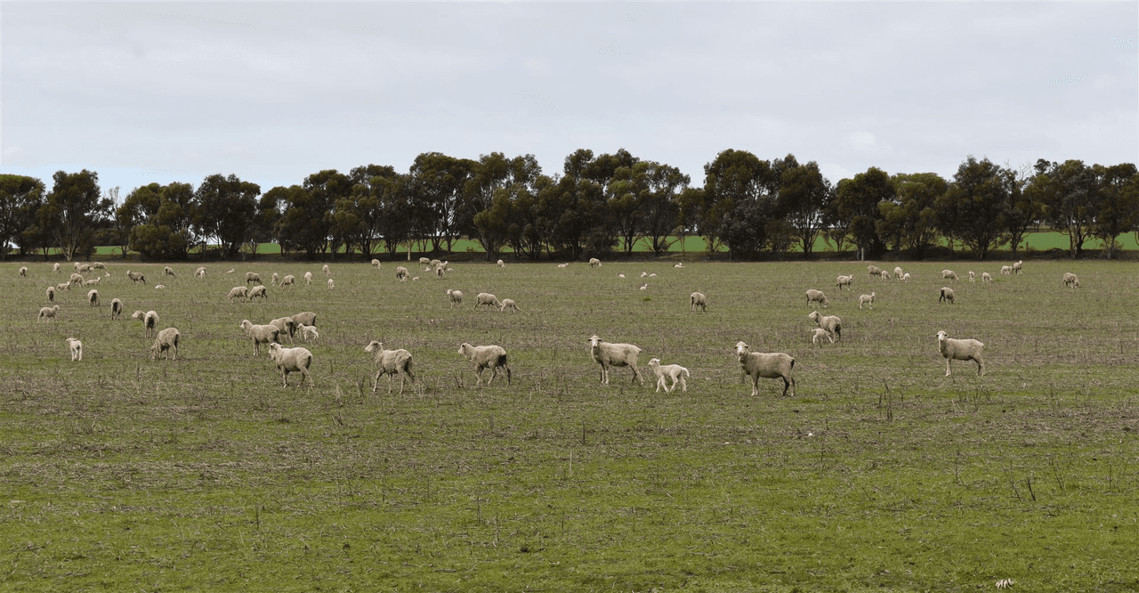 ' Adadale', Woodanilling, WA 6316