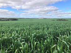 2978 Midlands Road, Carnamah, WA 6517