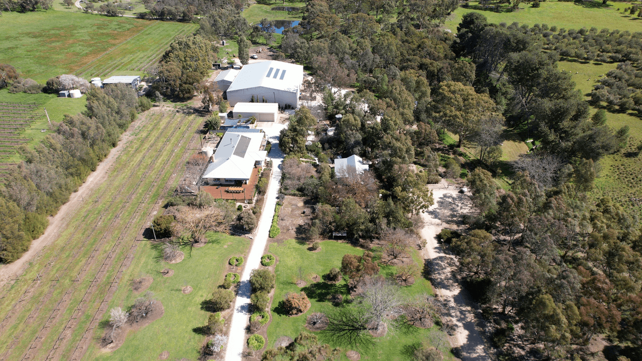 20 Gillentown Road, CLARE, SA 5453