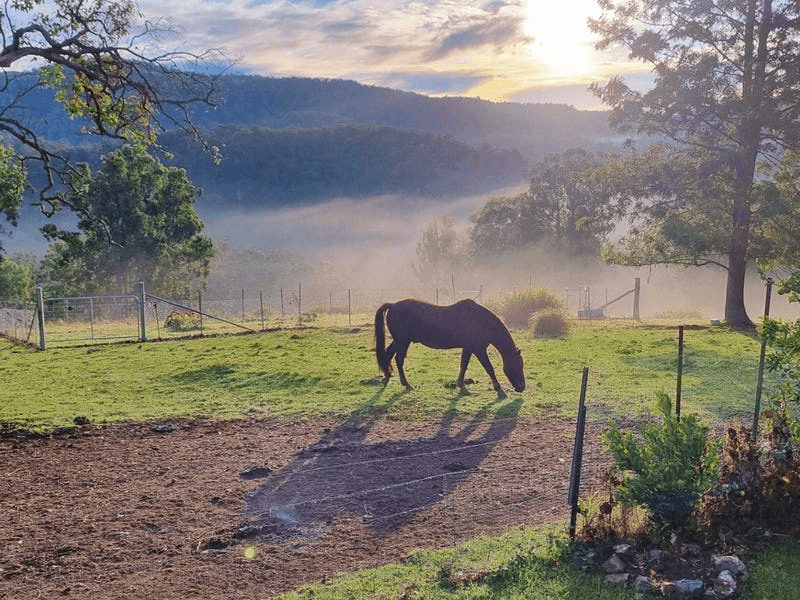 253 Eaglehawk Trail, YARROWITCH, NSW 2354