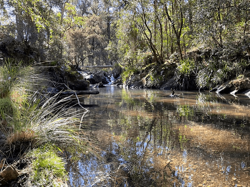 253 Eaglehawk Trail, YARROWITCH, NSW 2354