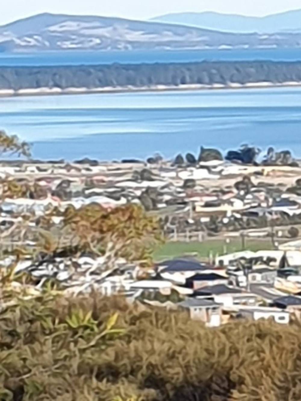 19 Jeannie Drive, Sorell, TAS 7172
