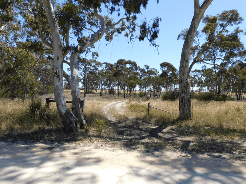 Lot 101 Dunstall Road, BORDERTOWN SOUTH, SA 5268