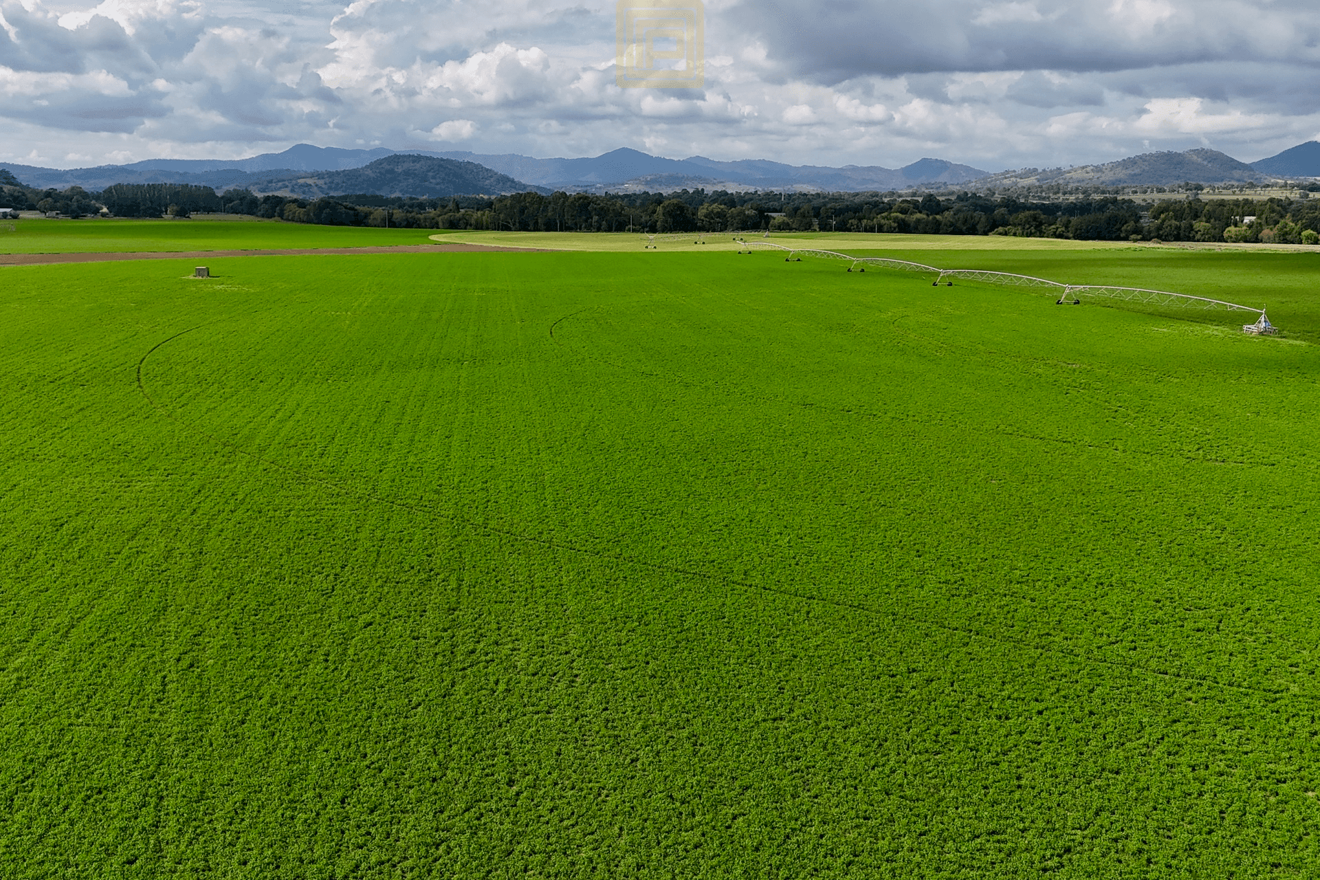 100 Segenhoe Road, Segenhoe, NSW 2337