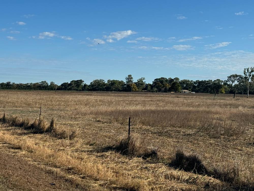 335 & 375 Molongle Beach Road, GUTHALUNGRA, QLD 4805