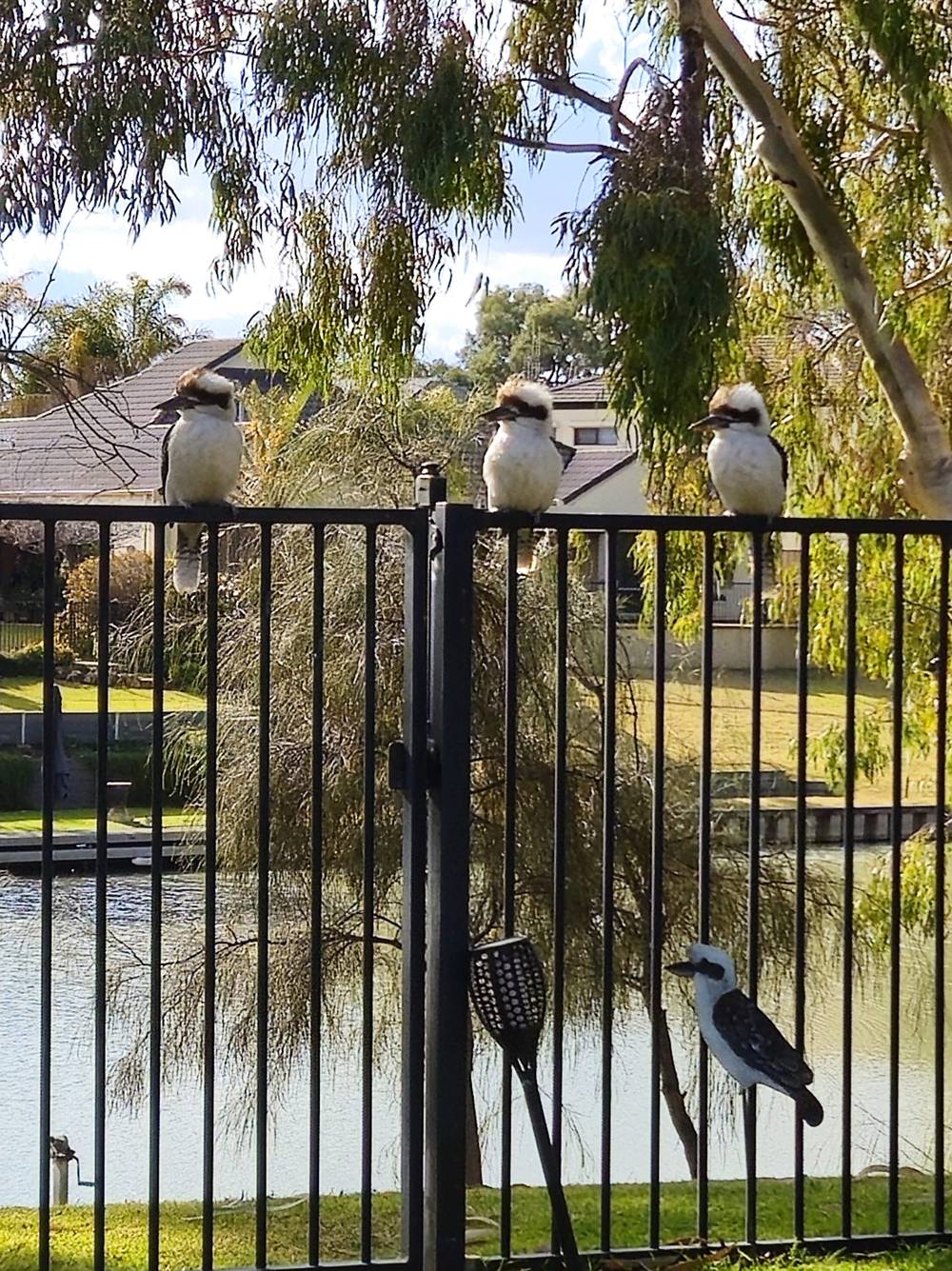 25 New Landing Way, Renmark, SA 5341