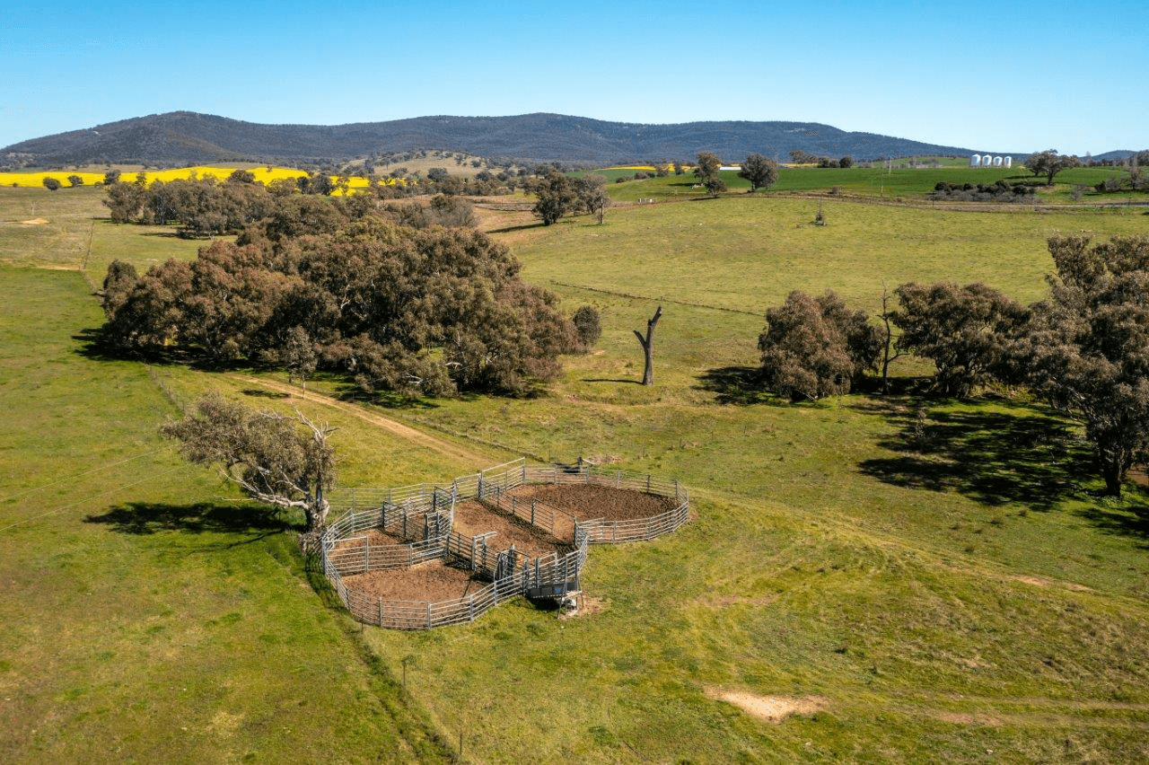 133 Frampton Road, COOTAMUNDRA, NSW 2590