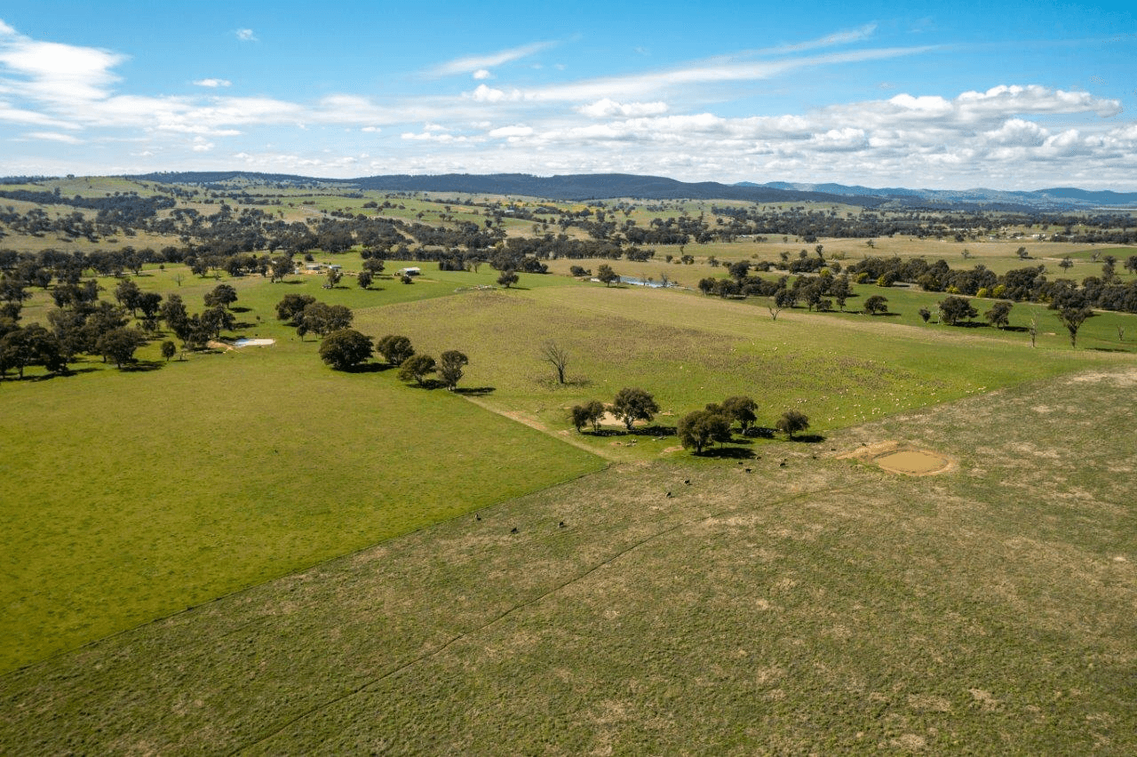 133 Frampton Road, COOTAMUNDRA, NSW 2590