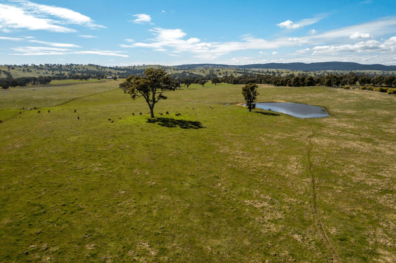 133 Frampton Road, COOTAMUNDRA, NSW 2590