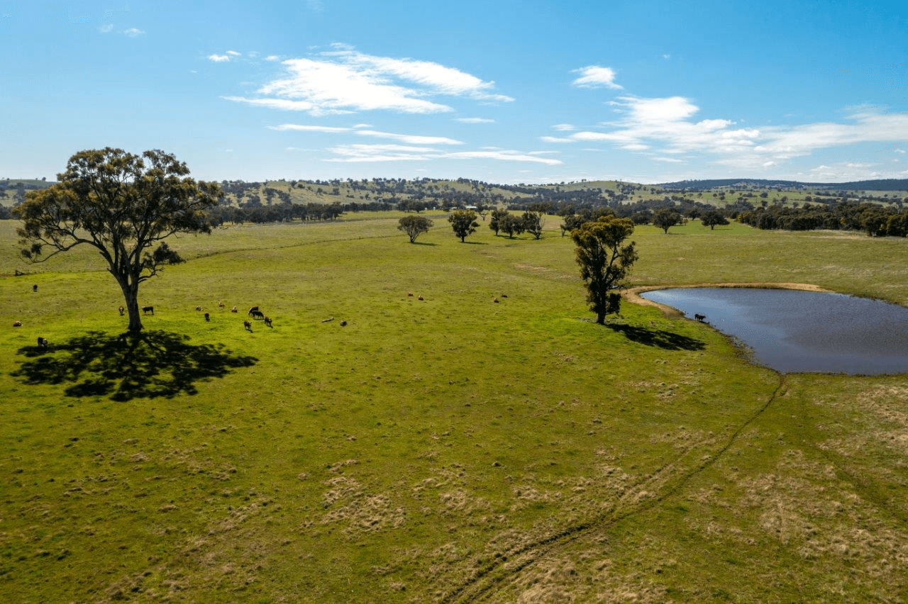 133 Frampton Road, COOTAMUNDRA, NSW 2590