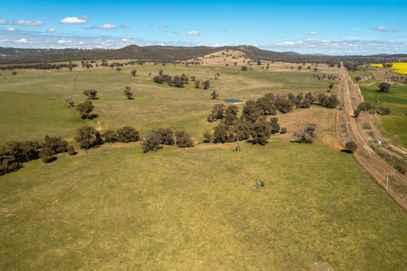 133 Frampton Road, COOTAMUNDRA, NSW 2590