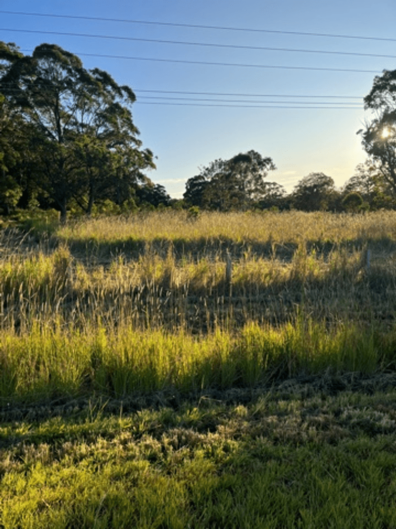 Lot 342 The Lakes Way, BUNGWAHL, NSW 2423