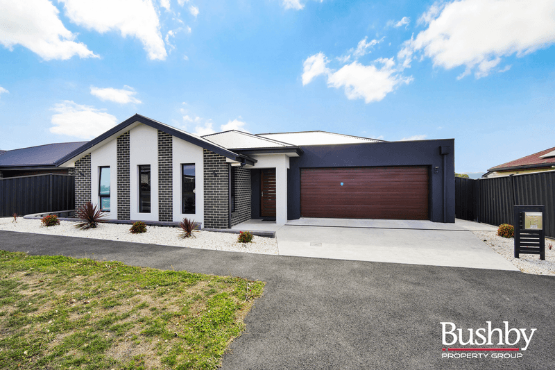 12  Napier Street, YOUNGTOWN, TAS 7249