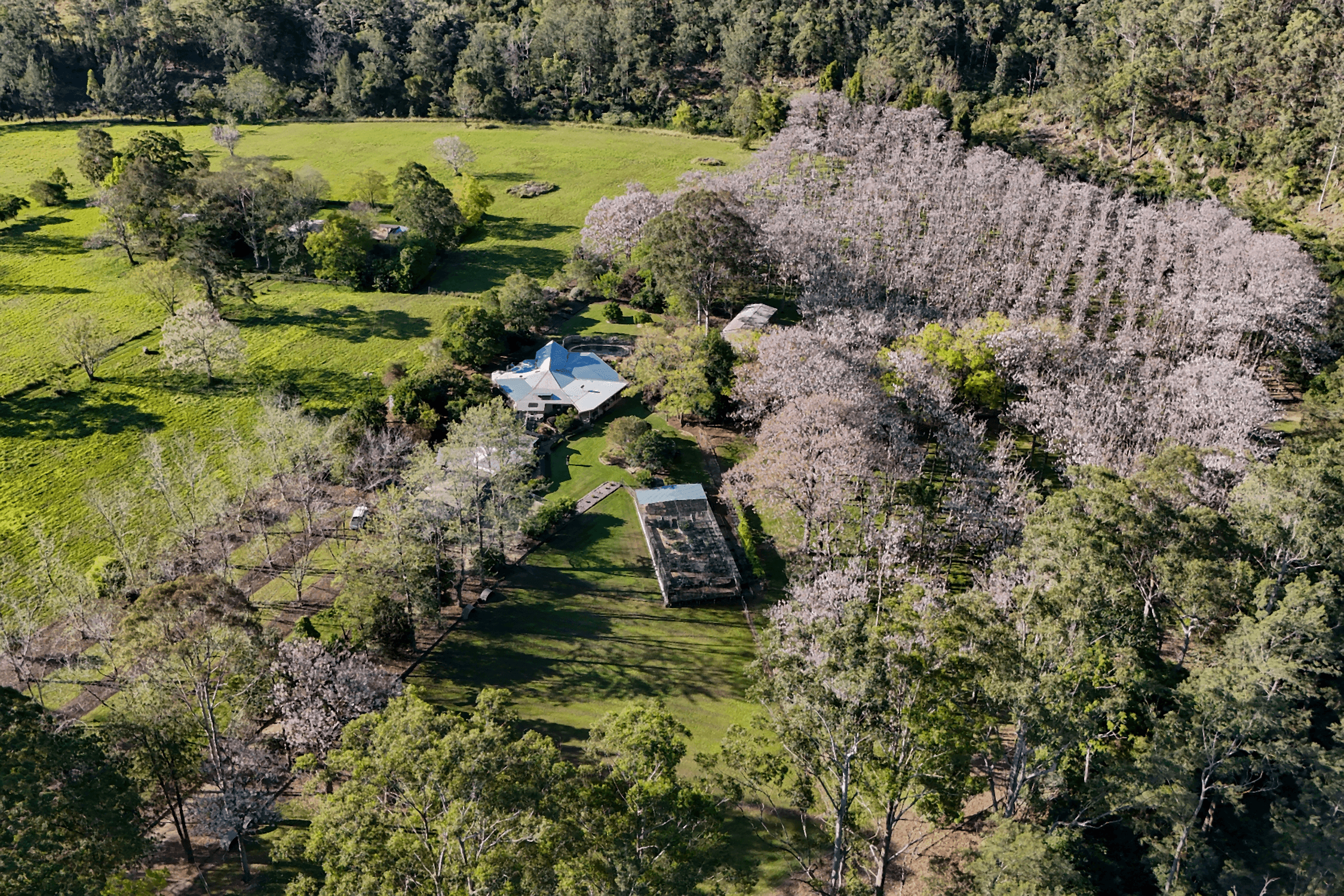 830 Pappinbarra Road, PAPPINBARRA, NSW 2446