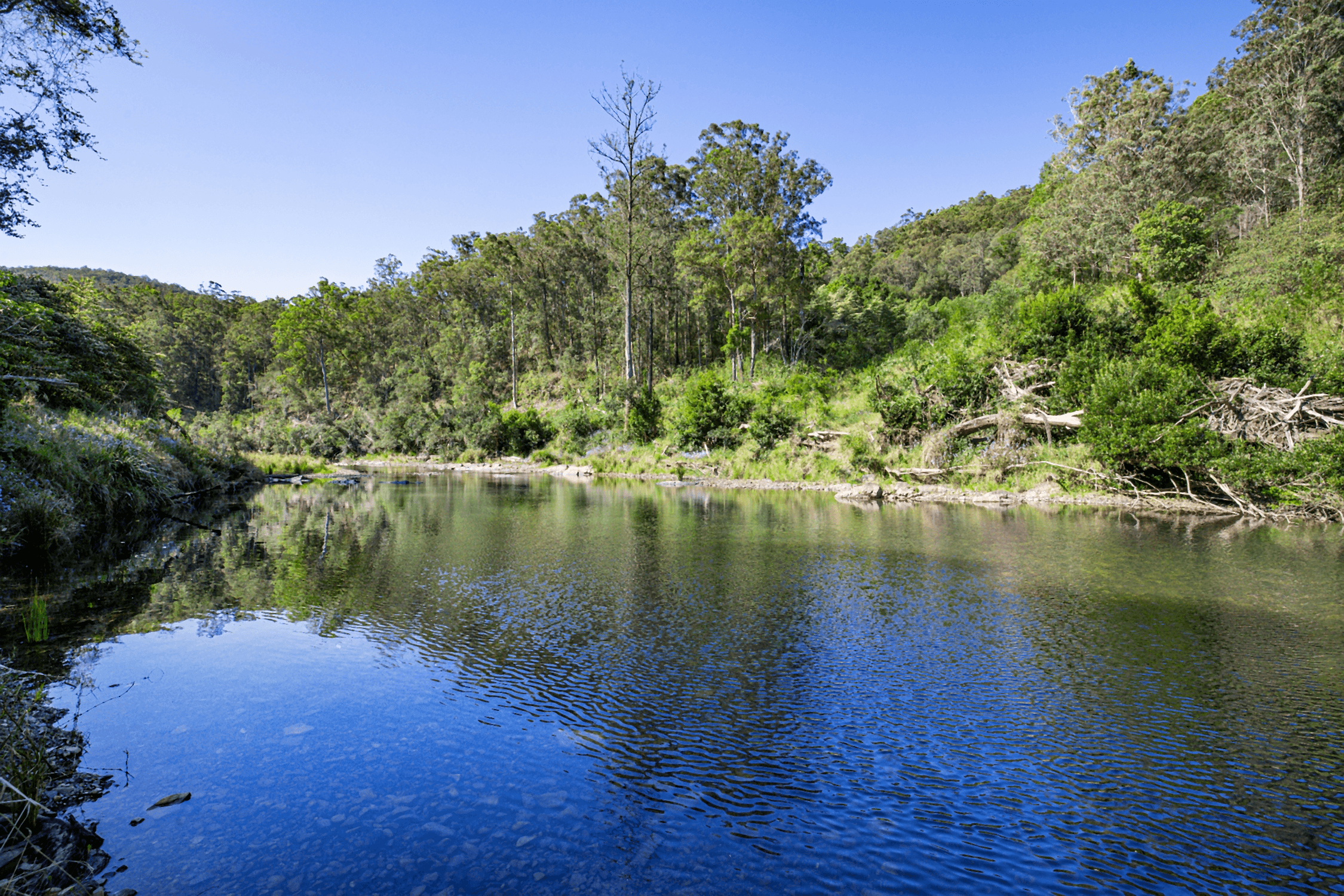 830 Pappinbarra Road, PAPPINBARRA, NSW 2446