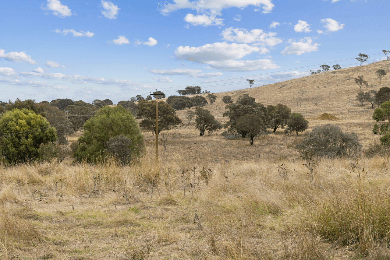 "Monteagle"/326 Brial Road, BOOROWA, NSW 2586