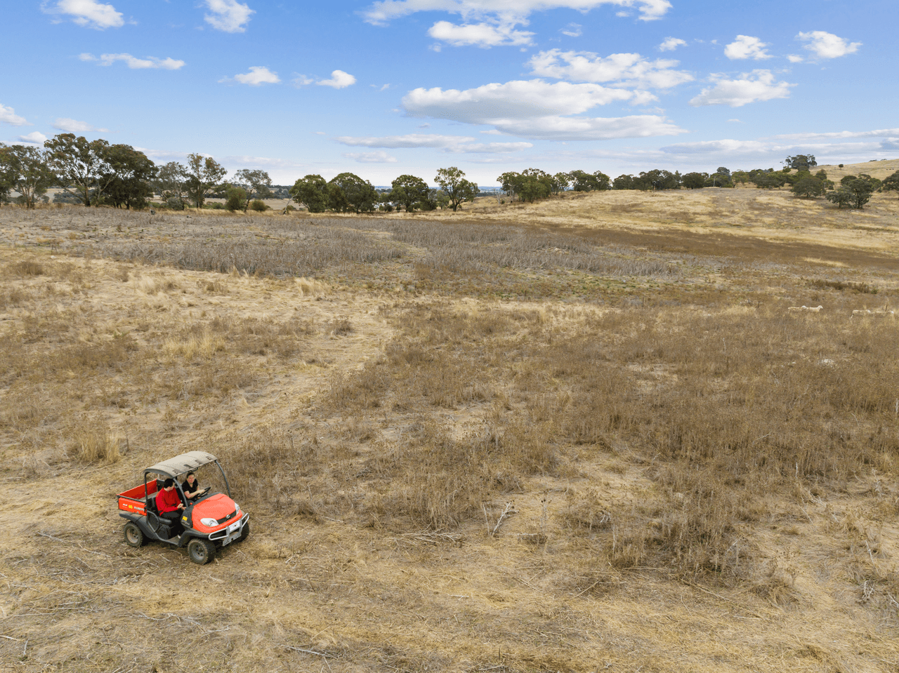 "Monteagle"/326 Brial Road, BOOROWA, NSW 2586