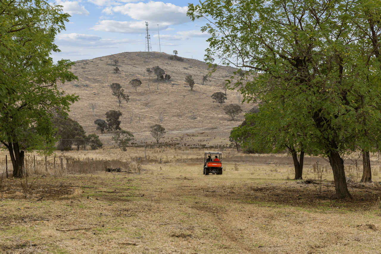 "Monteagle"/326 Brial Road, BOOROWA, NSW 2586