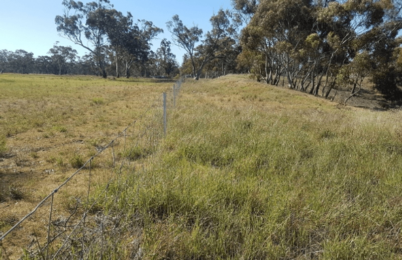 20 Reserve Road, NHILL, VIC 3418