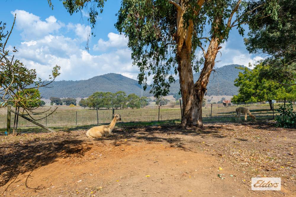 1454 Yackandandah-Dederang Road, Dederang, VIC 3691