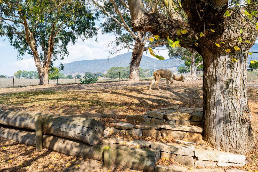 1454 Yackandandah-Dederang Road, Dederang, VIC 3691