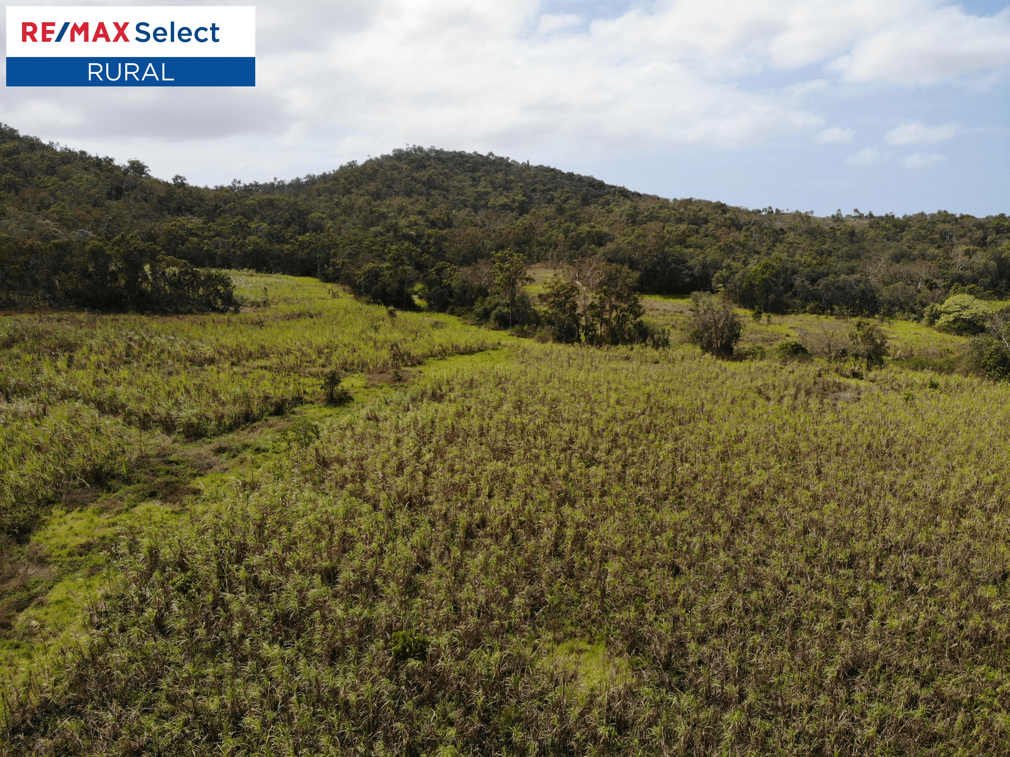 Lot 2 Yakapari-Seaforth Road, MOUNT JUKES, QLD 4740