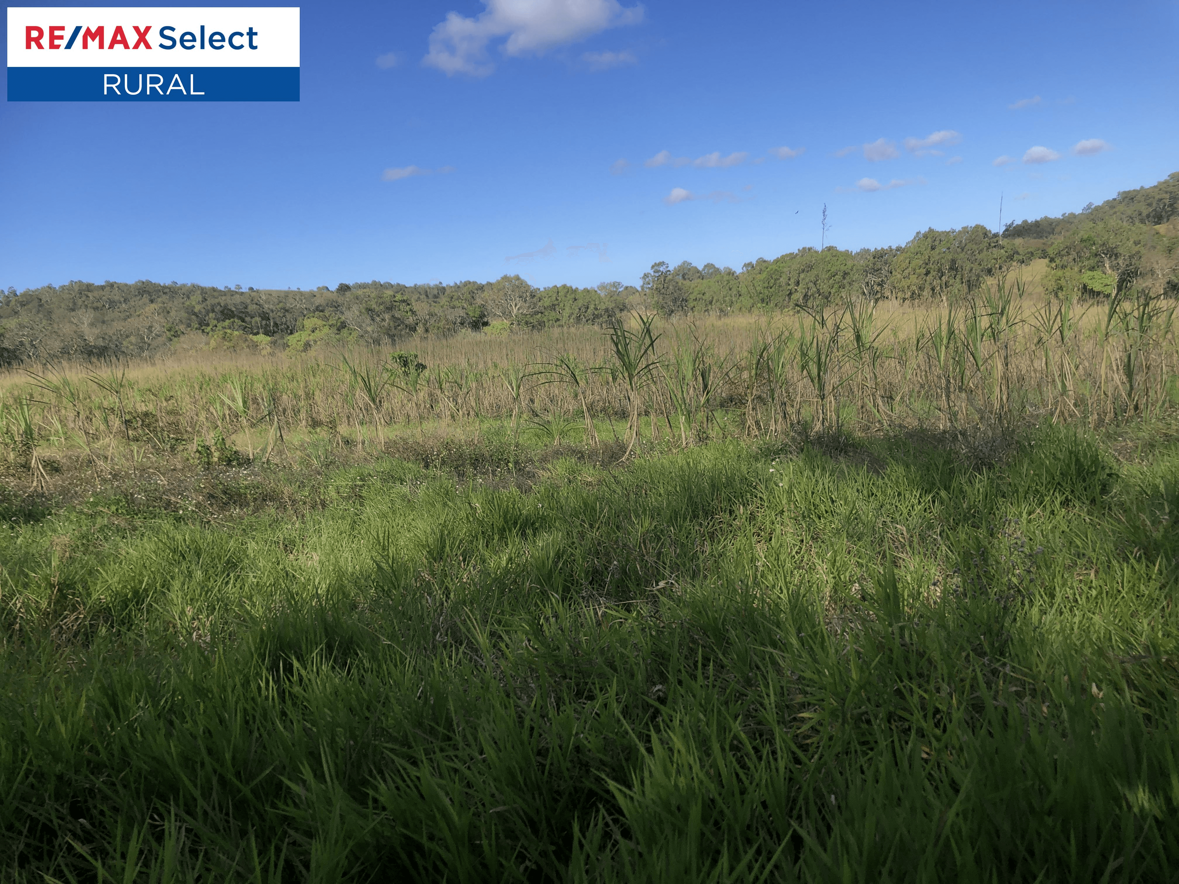 Lot 2 Yakapari-Seaforth Road, MOUNT JUKES, QLD 4740