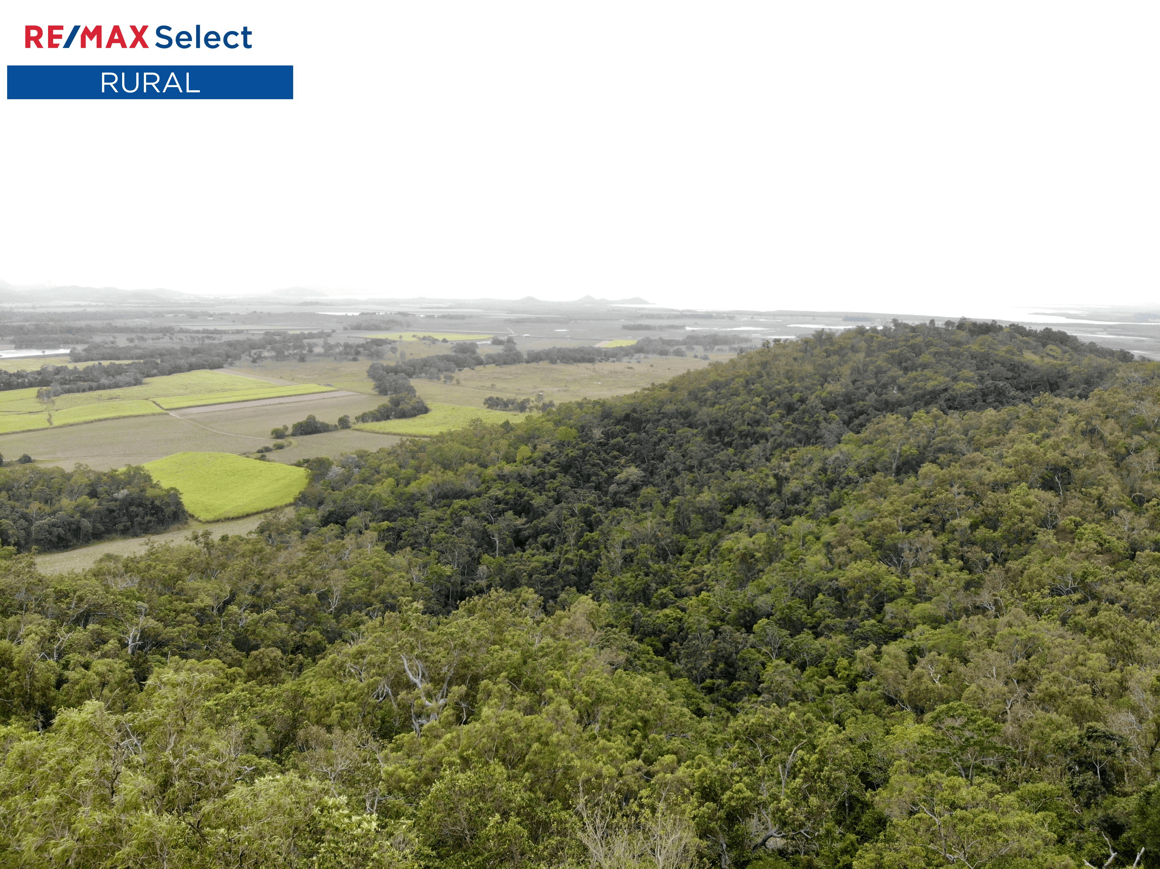 Lot 2 Yakapari-Seaforth Road, MOUNT JUKES, QLD 4740