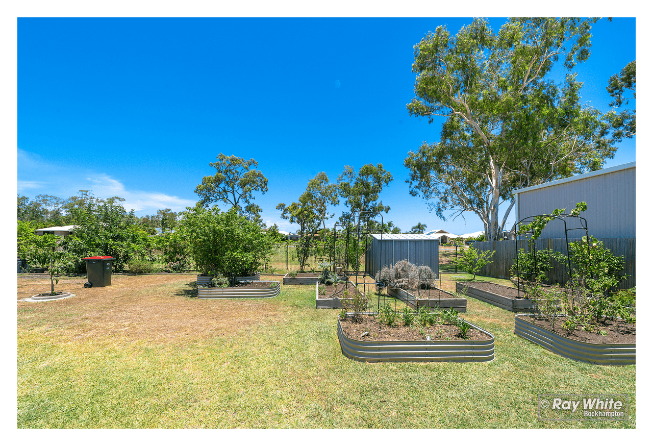 11 Belbowrie Avenue, NORMAN GARDENS, QLD 4701