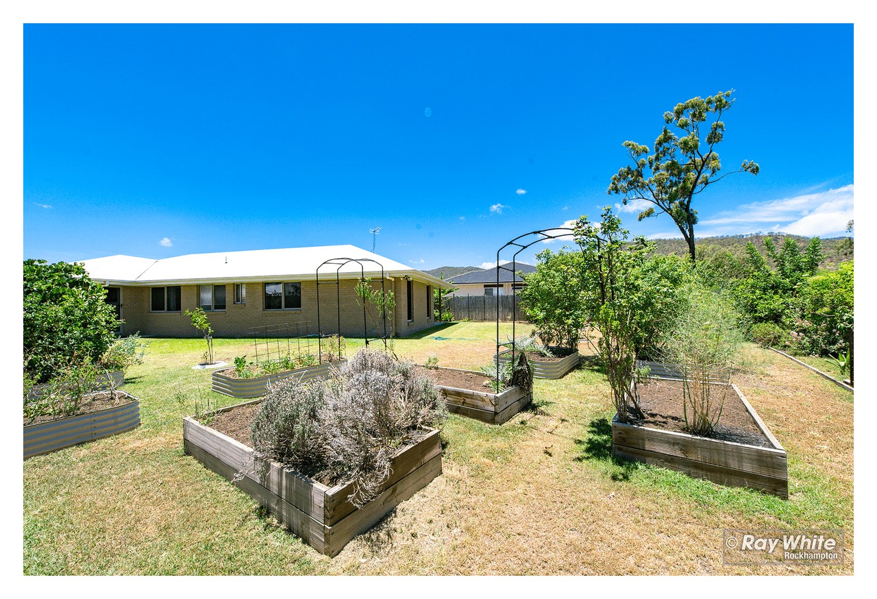 11 Belbowrie Avenue, NORMAN GARDENS, QLD 4701