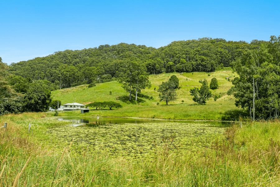 81 Harwood Road, BURRINGBAR, NSW 2483