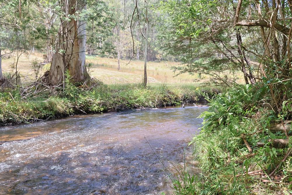Toorongo Valley Road, NOOJEE, VIC 3833