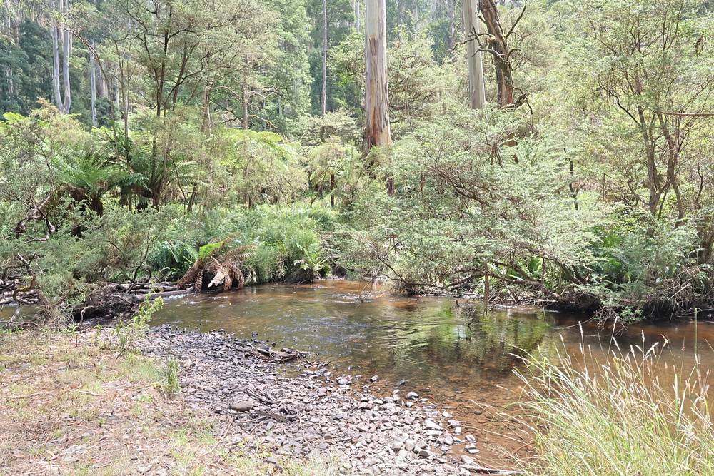Toorongo Valley Road, NOOJEE, VIC 3833