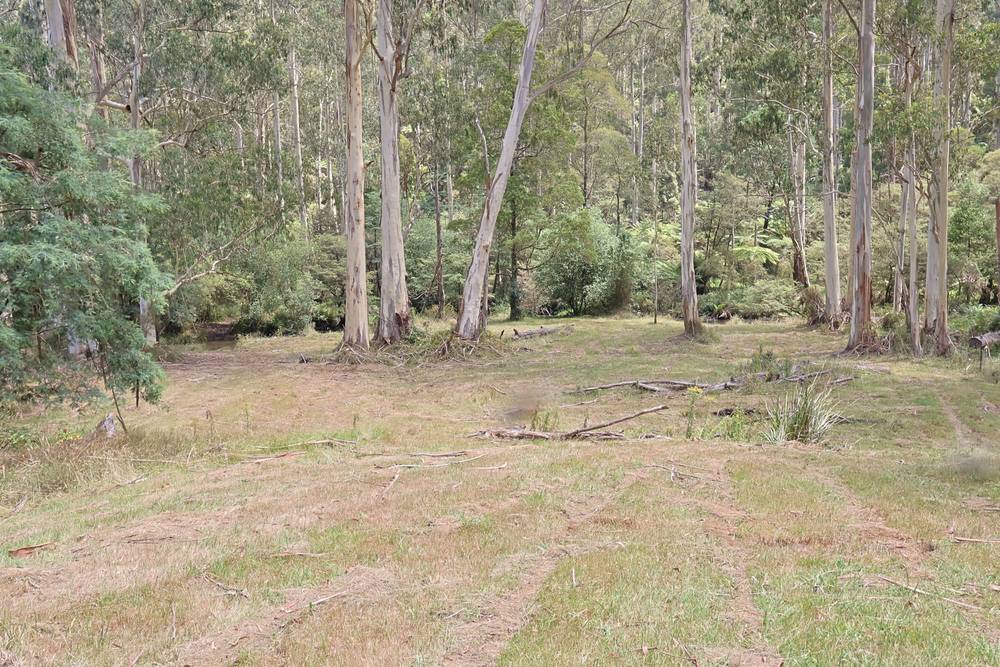 Toorongo Valley Road, NOOJEE, VIC 3833