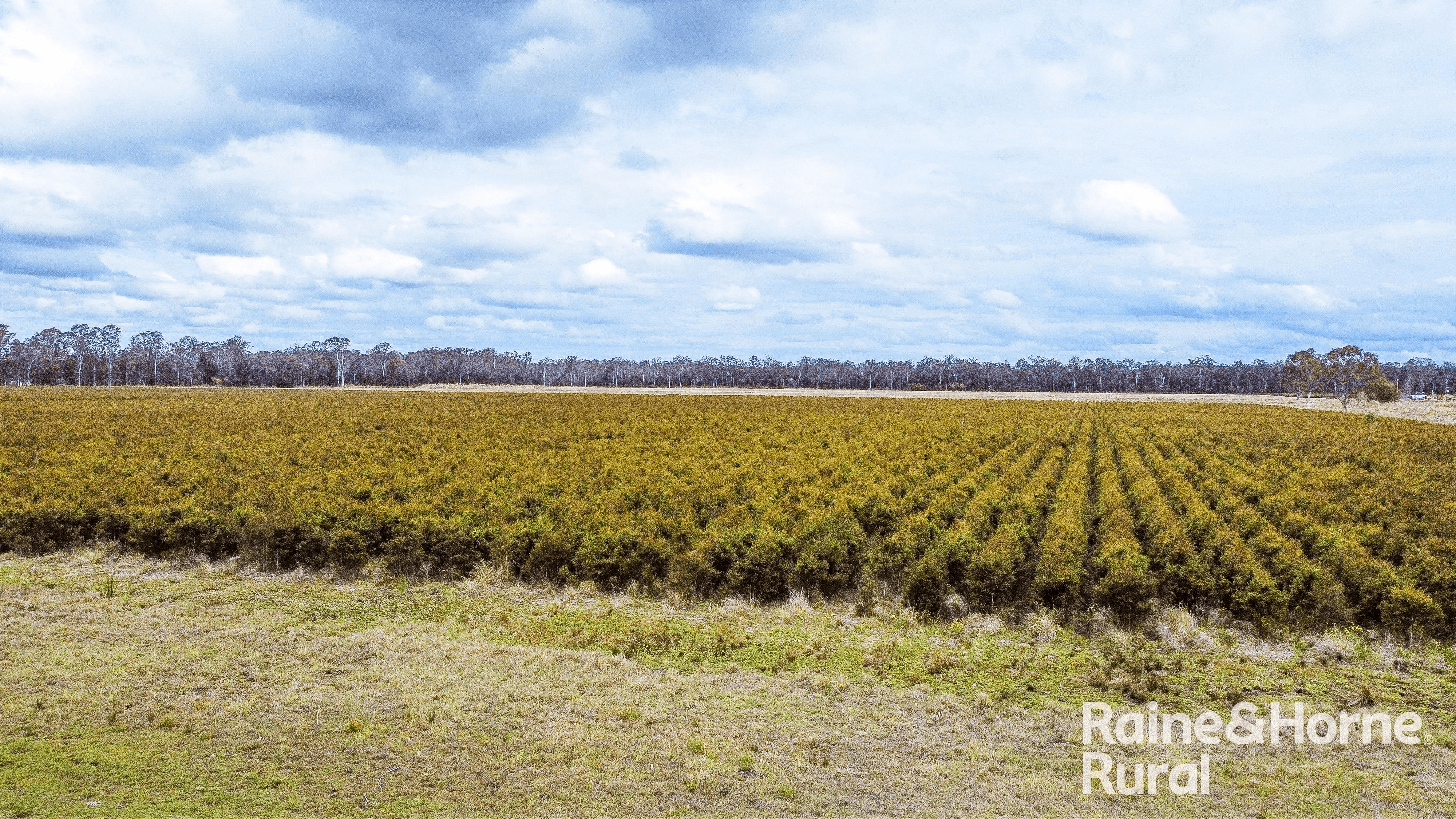 8855 Summerland Way, LEEVILLE, NSW 2470
