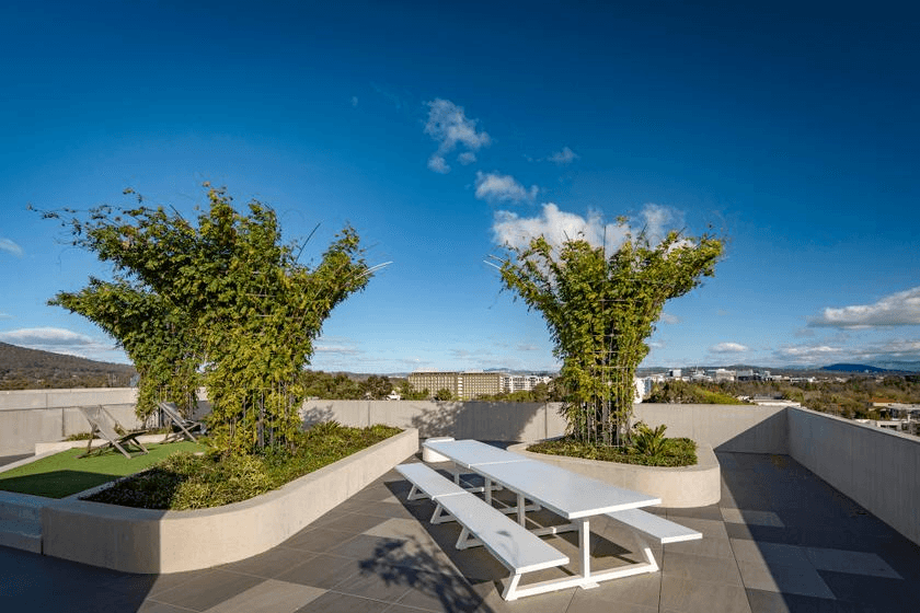79/217 Northbourne Avenue, TURNER, ACT 2612