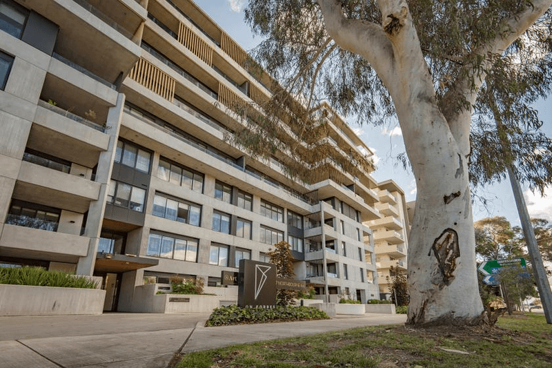 79/217 Northbourne Avenue, TURNER, ACT 2612