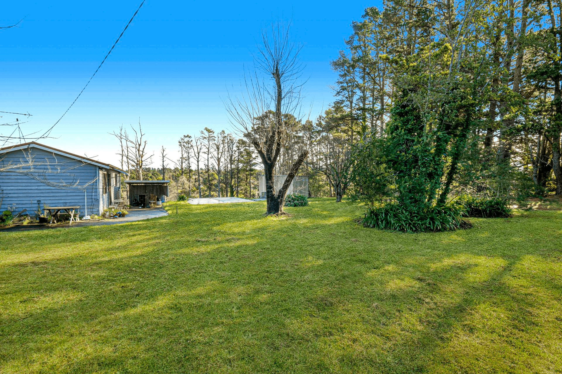 50 Nelson Avenue, Wentworth Falls, NSW 2782