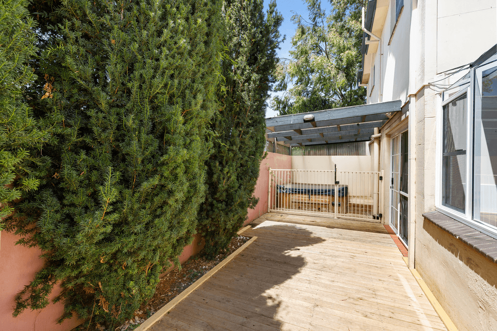 3 GRIFFITHS Street, MOUNT GAMBIER, SA 5290