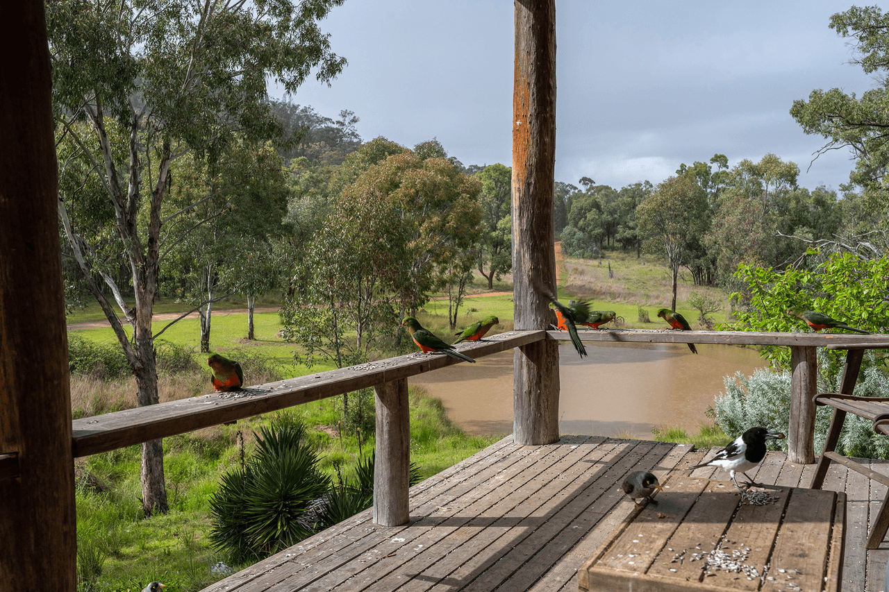 246 Cuthel Lane, GULGONG, NSW 2852