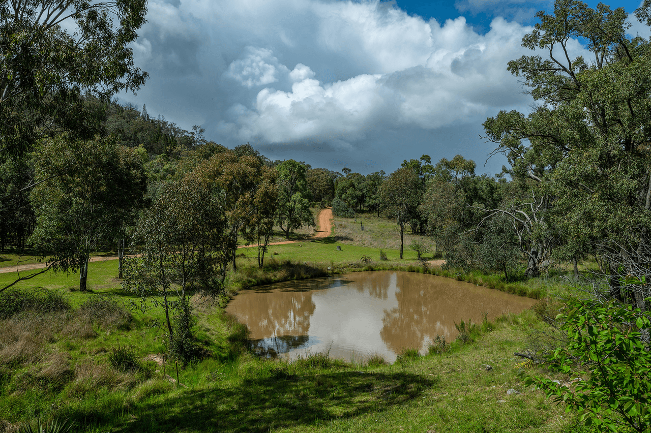 246 Cuthel Lane, GULGONG, NSW 2852